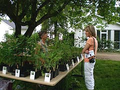  [photo, Plant sale, Alice Ferguson Foundation, Accokeek, Maryland]